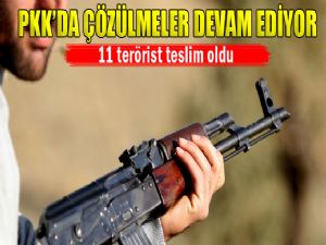 AFFEDİLECEKLER DİYE 11 PKK'LI DAHA TESLİM OLDU